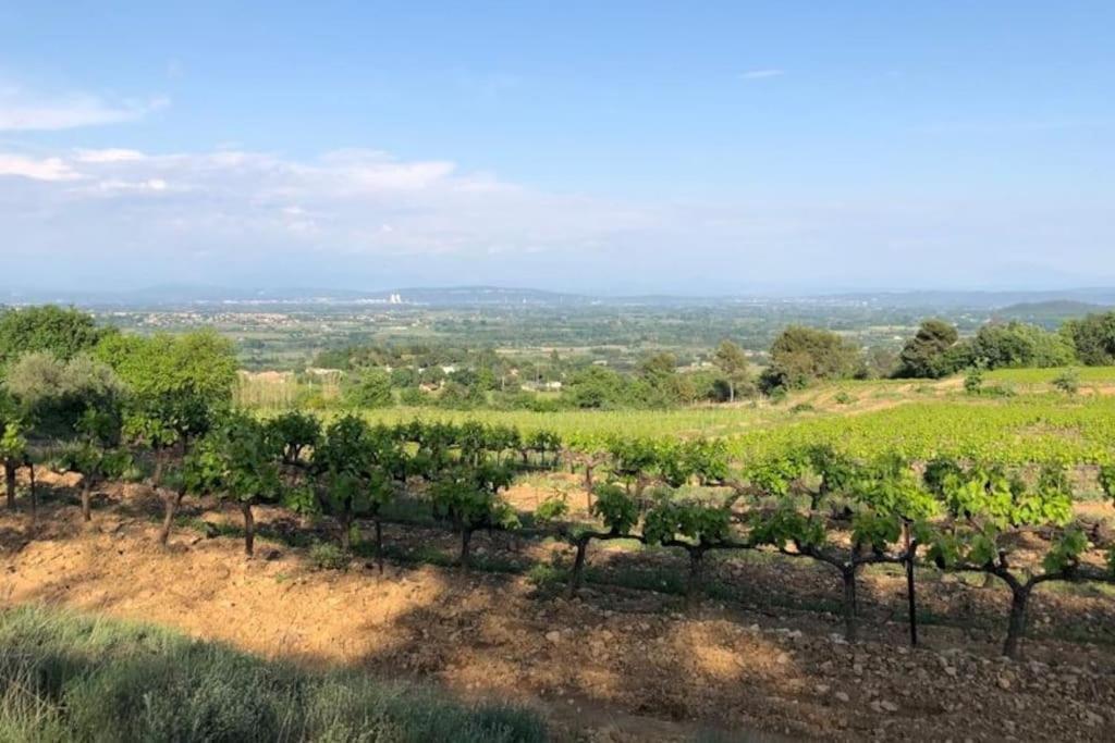 Appartement Tout Equipe En Rez-De-Jardin Entre Gard Et Ardeche Saint-Julien-de-Peyrolas Экстерьер фото
